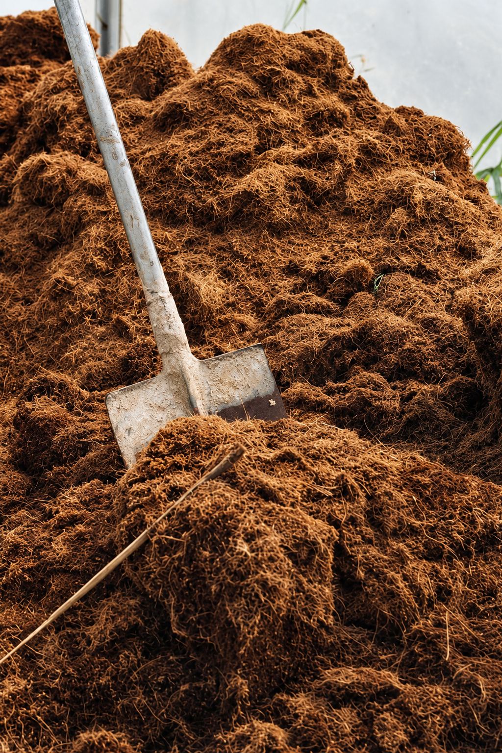 Une pelle au manche clair est plantée dans un grand tas de terreau brun fibreux, probablement de la fibre de coco ou du paillage.
